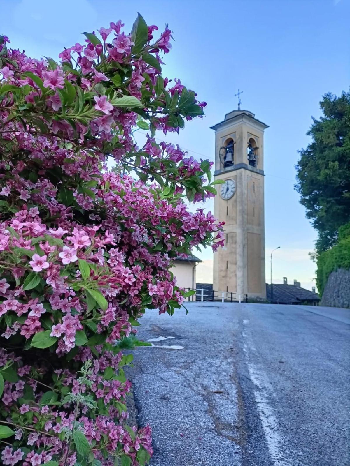 Beb Aria Di Montagna Bed & Breakfast Forcola Exterior photo